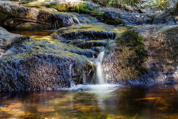 Canencia Çayırı 'ndaki manzara