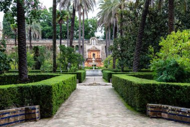 Seville, İspanya - 08 Kasım 2014: Seville, İspanya 'nın tarihi merkezi Alcazar' daki bahçeler