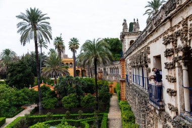 Seville, İspanya - 08 Kasım 2014: Seville, İspanya 'nın tarihi merkezi Alcazar' daki bahçeler
