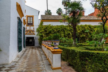 Seville, İspanya - 08 Kasım 2014: Seville, İspanya 'nın tarihi merkezi Alcazar' daki bahçeler