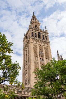 Seville, İspanya - 08 Kasım 2014: Seville, İspanya 'nın tarihi merkezinde La Giralda Katedrali ve Kulesi