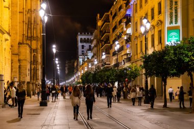 Seville, İspanya - 08 Kasım 2014: Seville, İspanya 'nın tarihi merkezi binaların manzarası