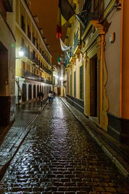 Seville, İspanya - 08 Kasım 2014: Seville, İspanya 'nın tarihi merkezi binaların manzarası