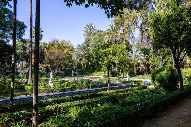 Seville, İspanya - 08 Kasım 2014: Seville, İspanya 'nın tarihi merkezinde Maria Luisa adlı bir halk parkı