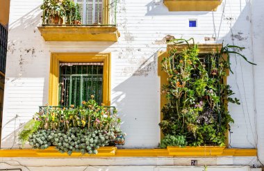 Seville, İspanya - 08 Kasım 2014: Seville, İspanya 'nın tarihi merkezi binaların manzarası