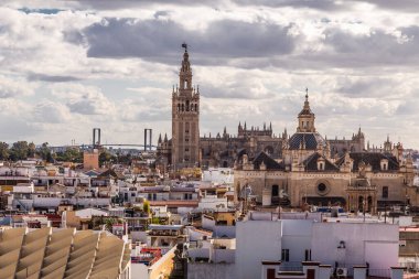 Seville, İspanya - 08 Kasım 2014: Seville, İspanya 'nın tarihi merkezinde La Giralda Katedrali ve Kulesi