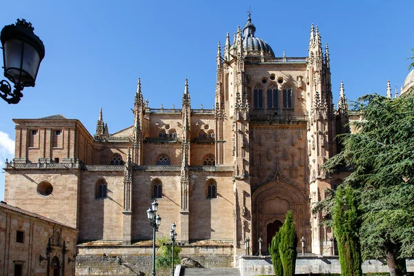 stock image A mesmerizing shot of a facade of the Salamanca Cathedral in Spain