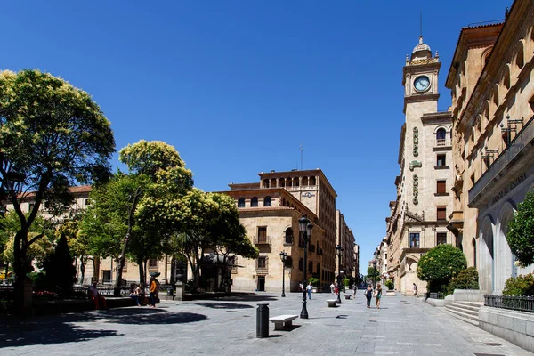 Detalles Los Edificios Ciudad Salamanca España — Foto de Stock