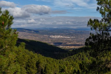 Tiemblo Avila 'daki Kestane Ormanı