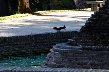 Capricho Bahçesi, Madrid, İspanya 'da halk parkı.