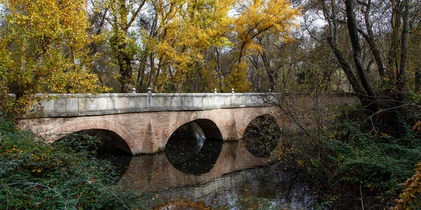 Pont Xviiie Siècle Appelé Pont Culebra Dans Parc Public Madrid — Photo