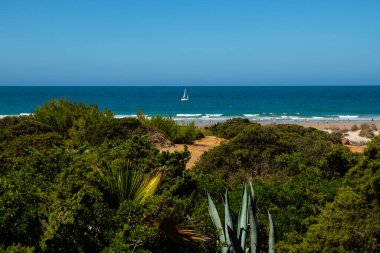 pleasure boats passing in front of La Barrosa beach in Sancti Petri Cadiz