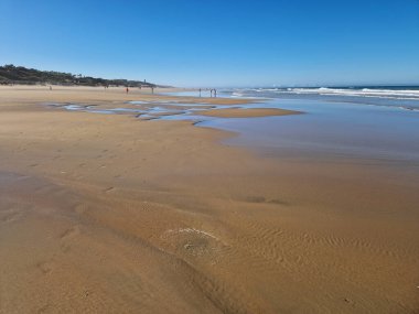 La Barrosa plajı, sular çekildiğinde, Sancti Petri, Chiclana de la Frontera, Cadiz, İspanya