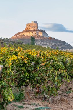 Curiel de Duero, İspanya - 12 Ekim 2023: İspanya 'nın Valladolid eyaletindeki Curiel de Duero kasabasındaki ortaçağ şatosunun farklı görüşleri