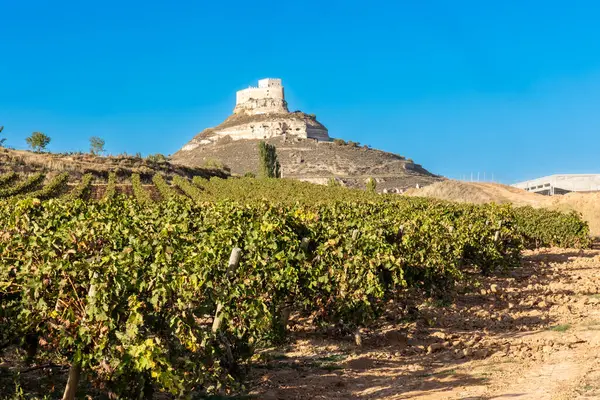Curiel de Duero, İspanya - 12 Ekim 2023: İspanya 'nın Valladolid eyaletindeki Curiel de Duero kasabasındaki ortaçağ şatosunun farklı görüşleri