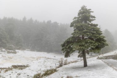 2023 'ün ilk karı Madrid, İspanya' daki Sierra de Guadarrama 'da yağdı.