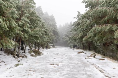 2023 'ün ilk karı Madrid, İspanya' daki Sierra de Guadarrama 'da yağdı.