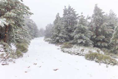 2023 'ün ilk karı Madrid, İspanya' daki Sierra de Guadarrama 'da yağdı.