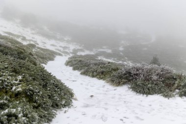 2023 'ün ilk karı Madrid, İspanya' daki Sierra de Guadarrama 'da yağdı.