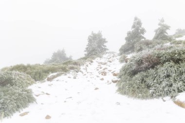 2023 'ün ilk karı Madrid, İspanya' daki Sierra de Guadarrama 'da yağdı.