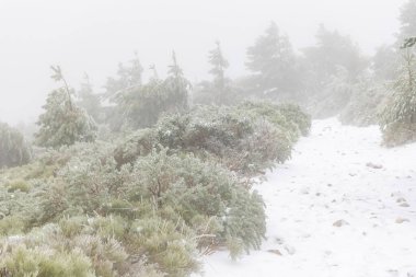 2023 'ün ilk karı Madrid, İspanya' daki Sierra de Guadarrama 'da yağdı.