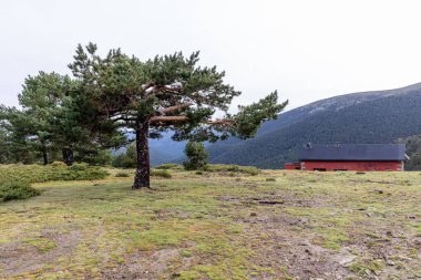 2023 yılında Madrid 'deki Sierra de Guadarrama zirvelerinde hafif kar yağışı vardı.