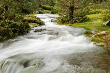 İspanya, Madrid 'deki Sierra de Guadarrama' da sonbahar yağmurları nedeniyle çok fazla suyu olan dağ nehri.