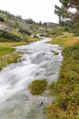 İspanya, Madrid 'deki Sierra de Guadarrama' da sonbahar yağmurları nedeniyle çok fazla suyu olan dağ nehri.