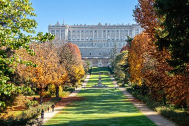 Madrid, İspanya - 19 Kasım 2023: Madrid, İspanya 'da Mnazanares nehrinin kıyısında Campo del Moro denilen bahçelerde sonbahar