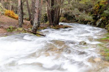 Madrid 'de Sierra de Guadarrama nehrinde Poza de Socrates adında bir şelale.