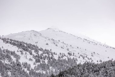 Mart 2024 'te Madrid, Sierra de Guadarrama' daki Puerto de Cotos 'un karlı manzaraları