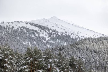 Mart 2024 'te Madrid, Sierra de Guadarrama' daki Puerto de Cotos 'un karlı manzaraları