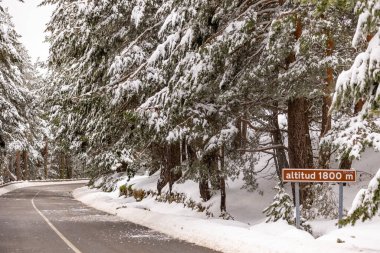 Mart 2024 'te Madrid, Sierra de Guadarrama' daki Puerto de Cotos 'un karlı manzaraları
