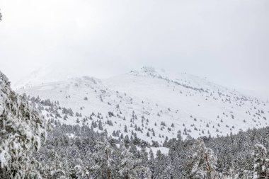 Mart 2024 'te Madrid, Sierra de Guadarrama' daki Puerto de Cotos 'un karlı manzaraları