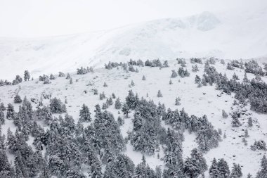 Mart 2024 'te Madrid, Sierra de Guadarrama' daki Puerto de Cotos 'un karlı manzaraları