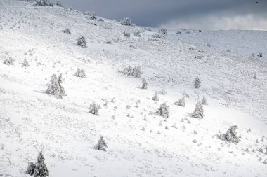 Mart 2024 'te Madrid' deki Sierra de Guadarrama 'da Puerto de Navacerrada' nın karlı manzaraları