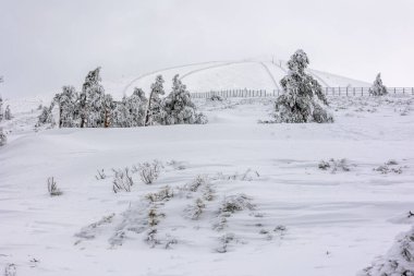 Mart 2024 'te Madrid' deki Sierra de Guadarrama 'da Puerto de Navacerrada' nın karlı manzaraları