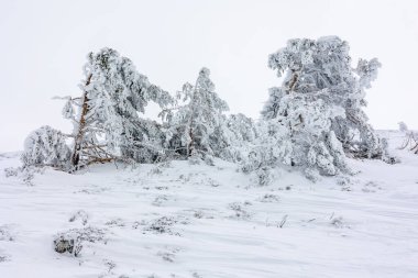 Mart 2024 'te Madrid' deki Sierra de Guadarrama 'da Puerto de Navacerrada' nın karlı manzaraları