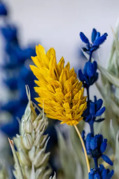 Kurumuş Renkli Çiçekler Süslemeye Hazır Telifsiz Stok Fotoğraflar