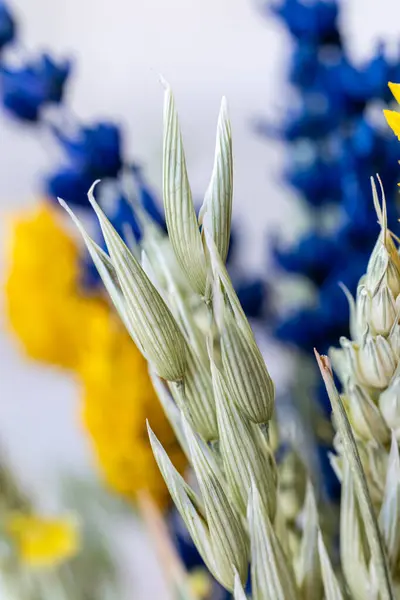 Gedroogde Kleurrijke Bloemen Klaar Voor Decoratie Rechtenvrije Stockfoto's