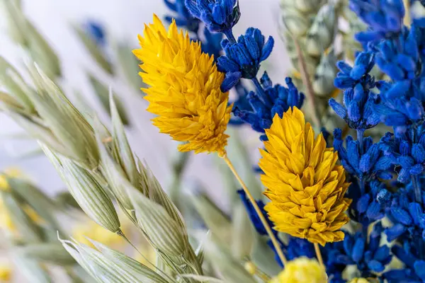 Kurumuş Renkli Çiçekler Süslemeye Hazır Telifsiz Stok Imajlar