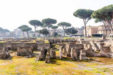 Roma, İtalya - 09 Nisan 2024: Roma Forumu 'nun kalıntıları ve Roma, İtalya' daki arkeolojik kalıntılar arasında turistler geziniyor