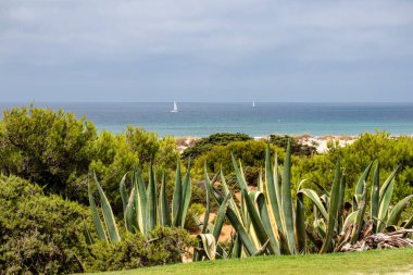 Sancti Petri Cadiz 'deki La Barrosa plajının önünden geçen zevk tekneleri.