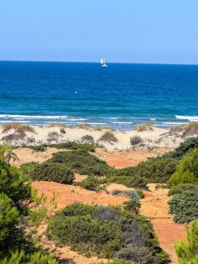 Sancti Petri Cadiz 'deki La Barrosa plajının önünden geçen zevk tekneleri.