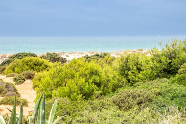 Sancti Petri, Cadiz, İspanya 'daki La Barrosa plajına erişim sağlayan kum tepeleri.