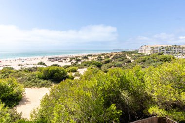 sand dunes that give access to La Barrosa beach in Sancti Petri, Cadiz, Spain clipart