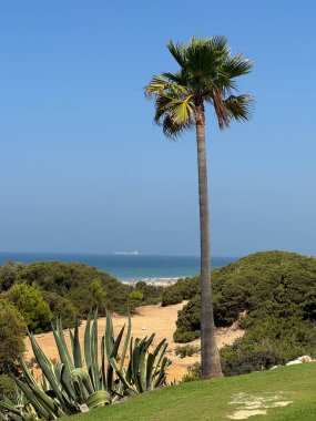 Sancti Petri, Cadiz, İspanya 'daki La Barrosa plajına erişim sağlayan kum tepeleri.