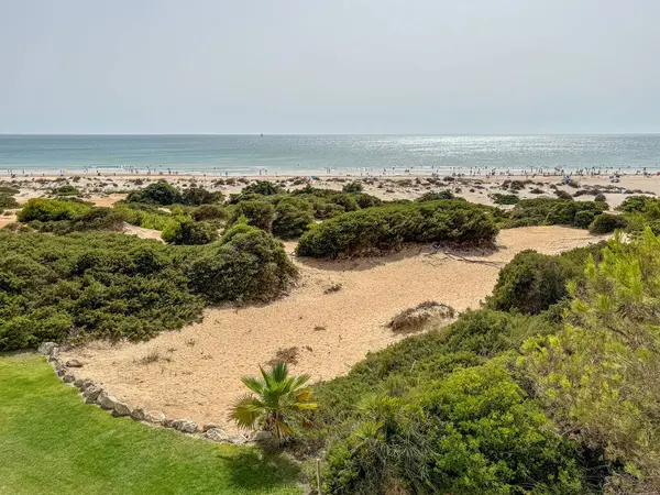 stock image sand dunes that give access to La Barrosa beach in Sancti Petri, Cadiz, Spain