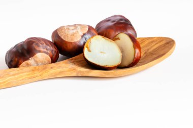 Horse chestnut fruits once ripe and fallen from the tree clipart