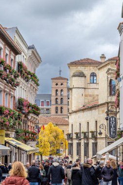 Leon, İspanya - 02 Kasım 2024: İspanya 'nın Leon şehrinde tarihi merkezde Calle Ancha adında bir cadde hizaya gelen binalar